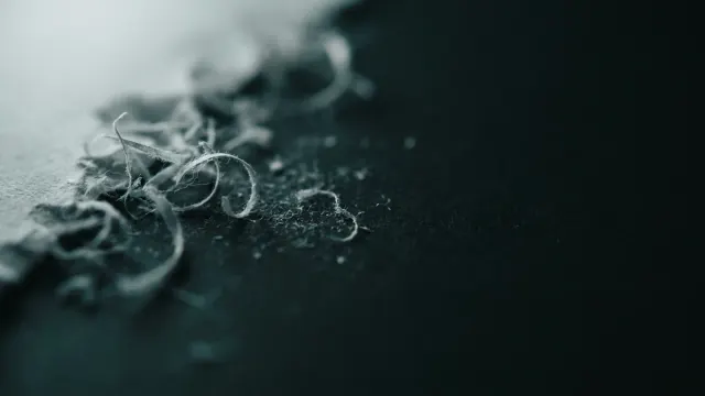 Sporność pojęcia danych osobowych