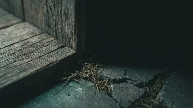 Z jakimi wymogami prawnymi wiąże się budowa domku narzędziowego