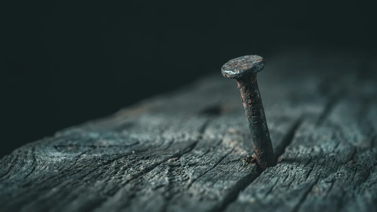 Exclusion of a shareholder from a simple public limited company – procedure and grounds
